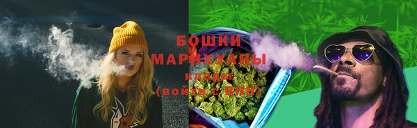 стаф Бронницы