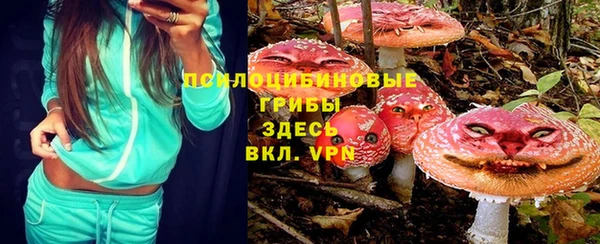 гидропоника Бородино