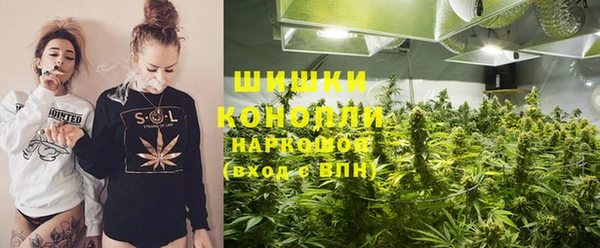 гидропоника Бородино