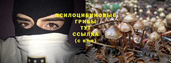 стаф Бронницы